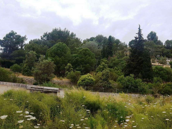 Land In Puigpunyent, Spain (2.251 M² Plot)