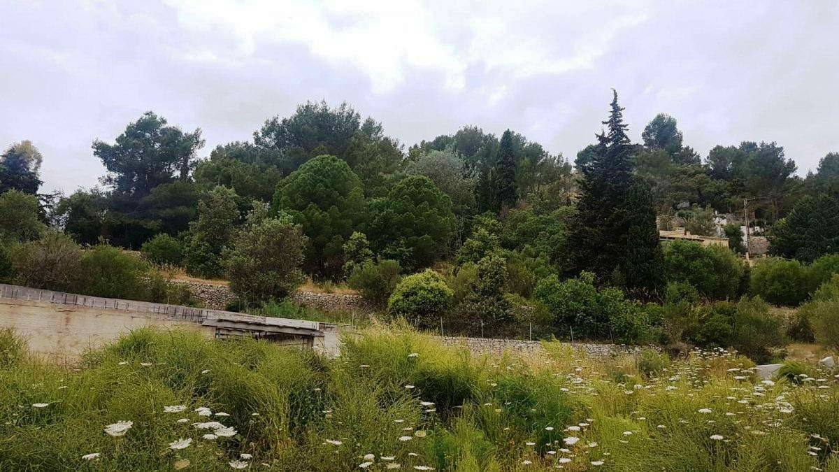 Land In Puigpunyent, Spain (2.251 M² Plot)