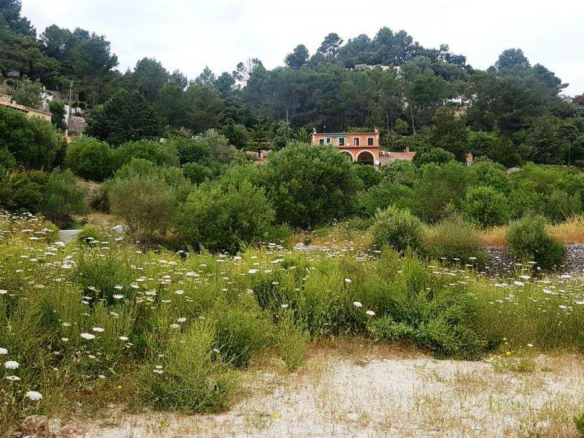 Land In Puigpunyent, Spain (2.251 M² Plot)