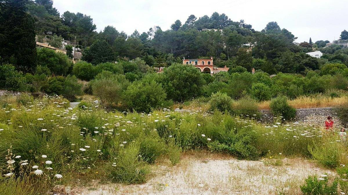Land In Puigpunyent, Spain (2.251 M² Plot)