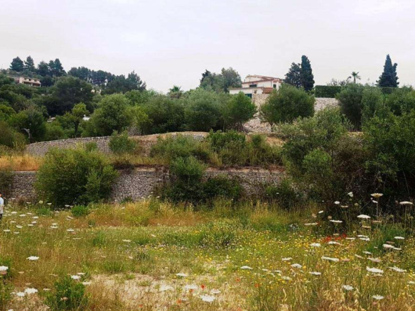 Land In Puigpunyent, Spain (2.251 M² Plot)