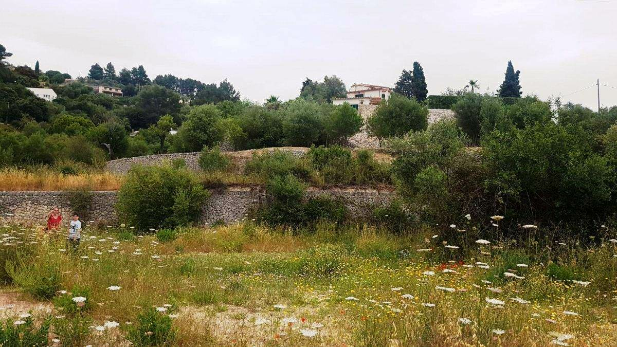 Land In Puigpunyent, Spain (2.251 M² Plot)