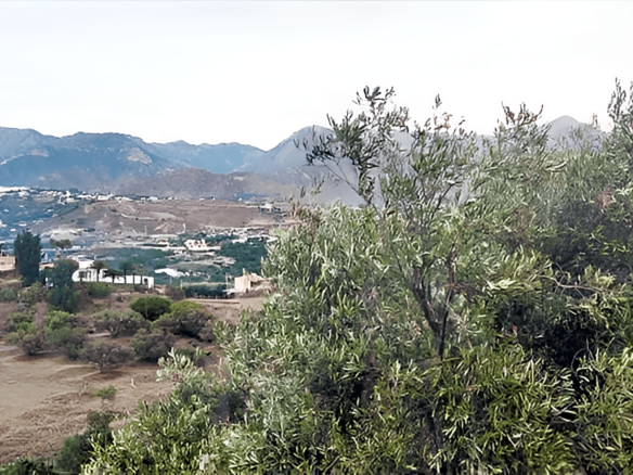 Land In Nerja, Spain (10.666 M² Plot)