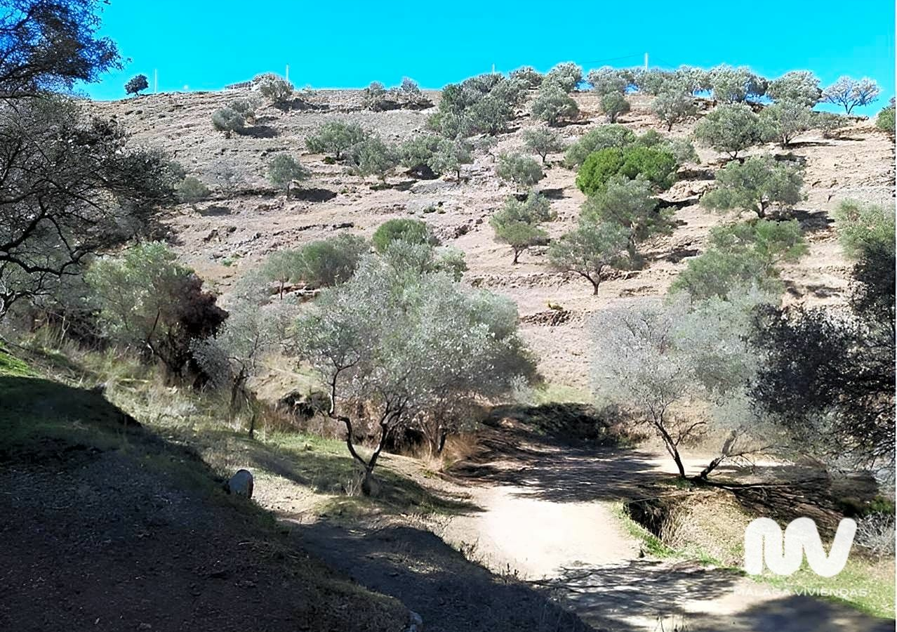 Land In Nerja, Spain (10.666 M² Plot)