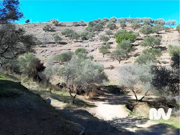 Land In Nerja, Spain (10.666 M² Plot)