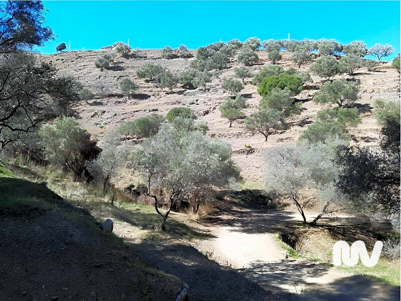 Land In Nerja, Spain (10.666 M² Plot)