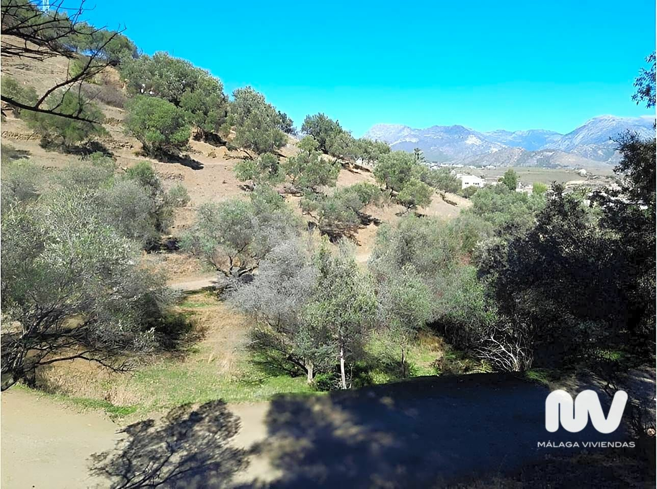 Land In Nerja, Spain (10.666 M² Plot)