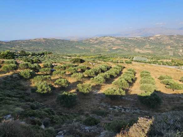 Land In Arkalochori, Greece