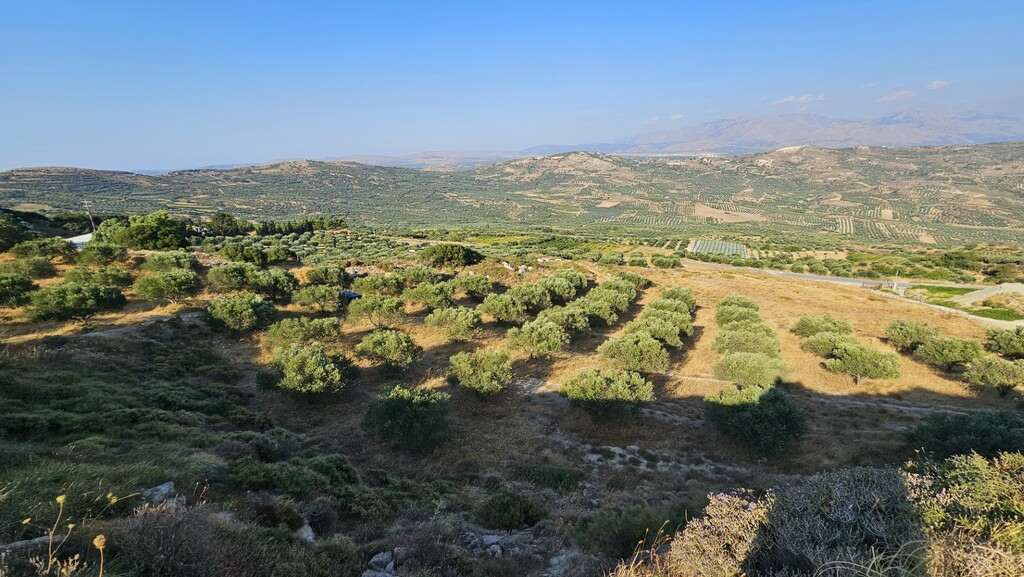 Land In Arkalochori, Greece