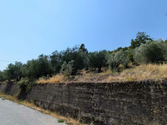 Land In Katerini, Greece
