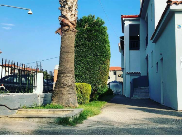 Hotel In Sithonia, Greece (500 M²)