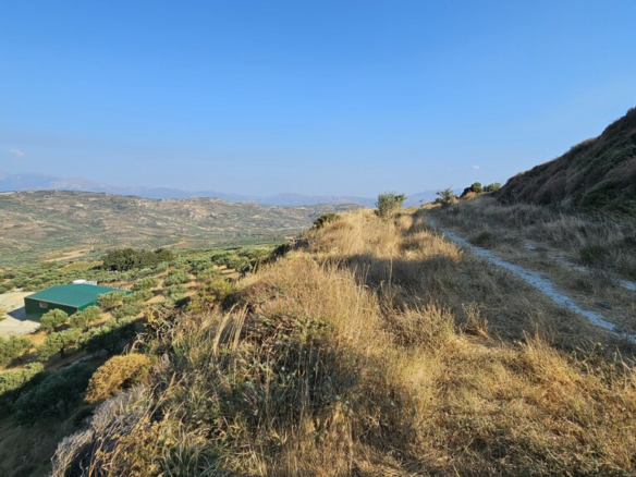 Land In Arkalochori, Greece