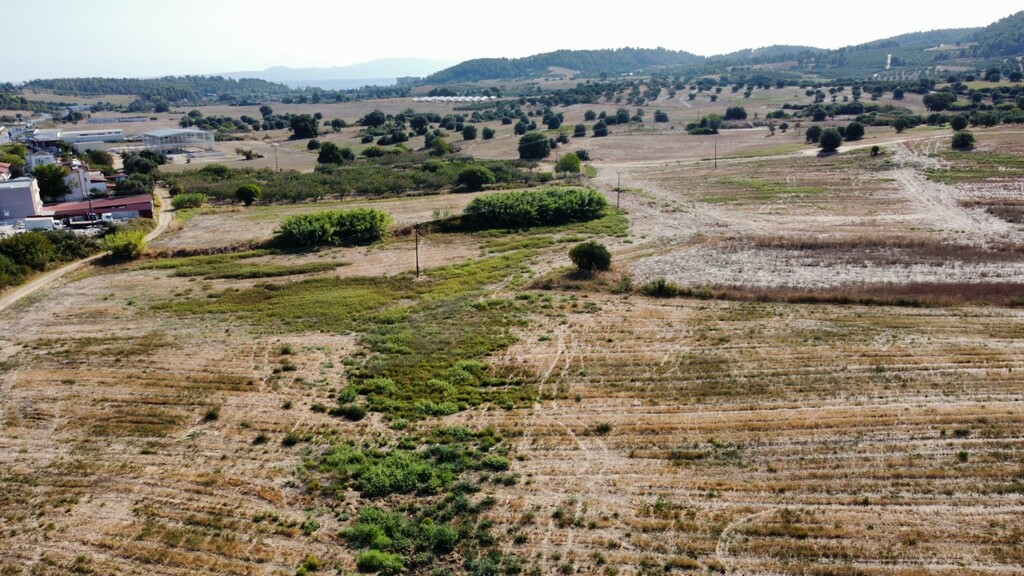Land In Kassandra, Greece