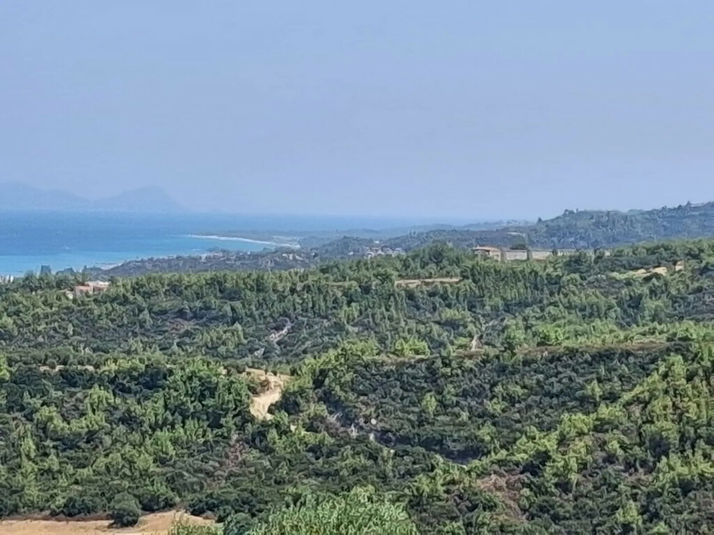 Land In Kassandra, Greece