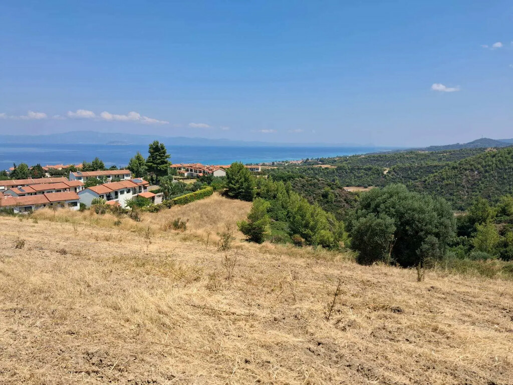 Land In Kassandra, Greece