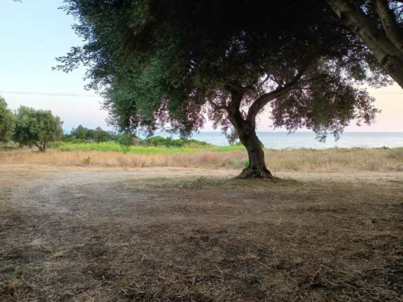 Land In Zaloggo, Greece