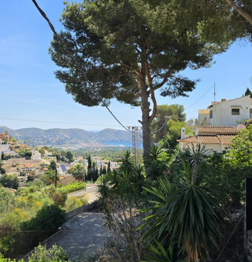 5-bedroom Villa In Algorfa, Spain (217 M²)