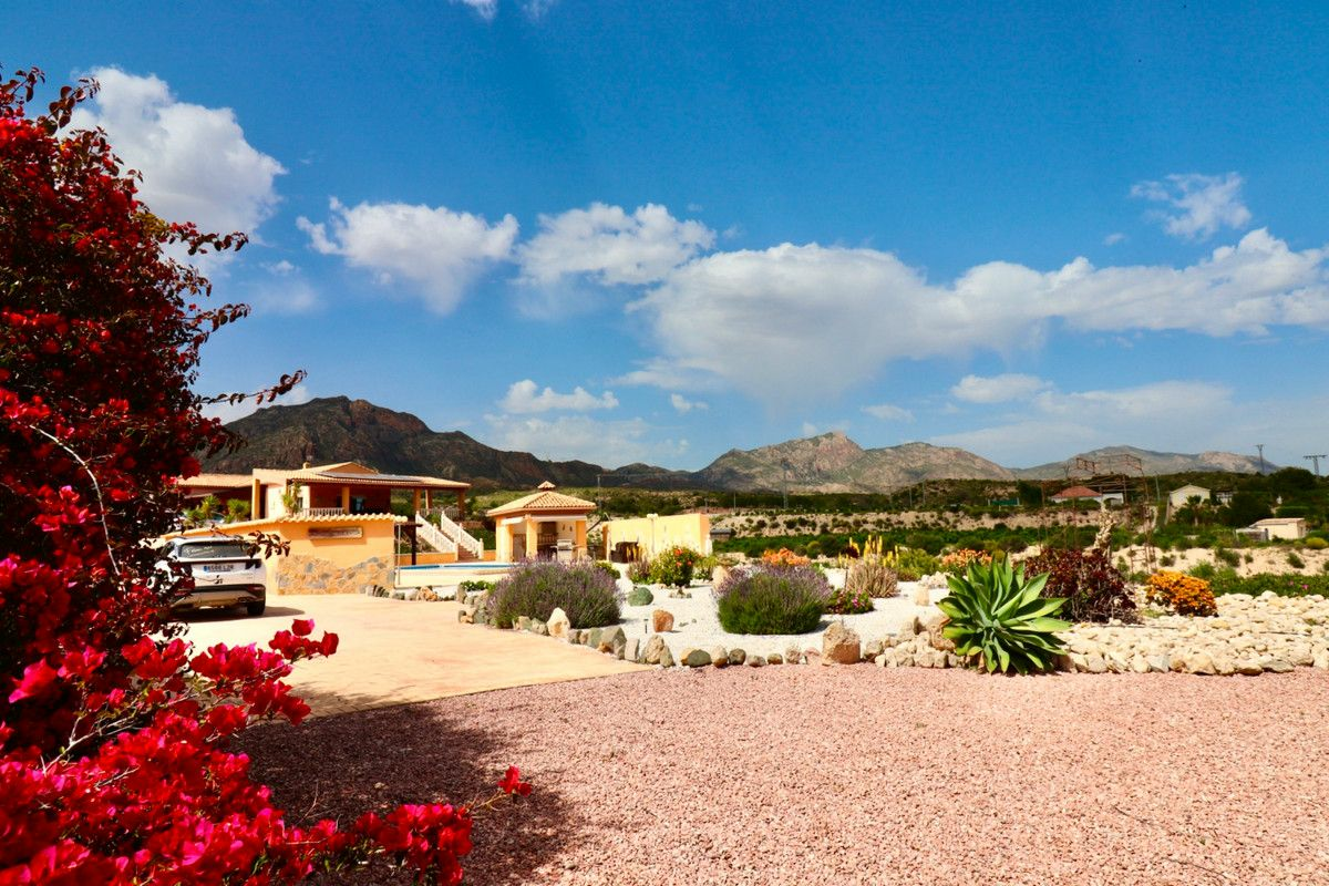 4-bedroom Villa In Albatera, Spain (198 M²)