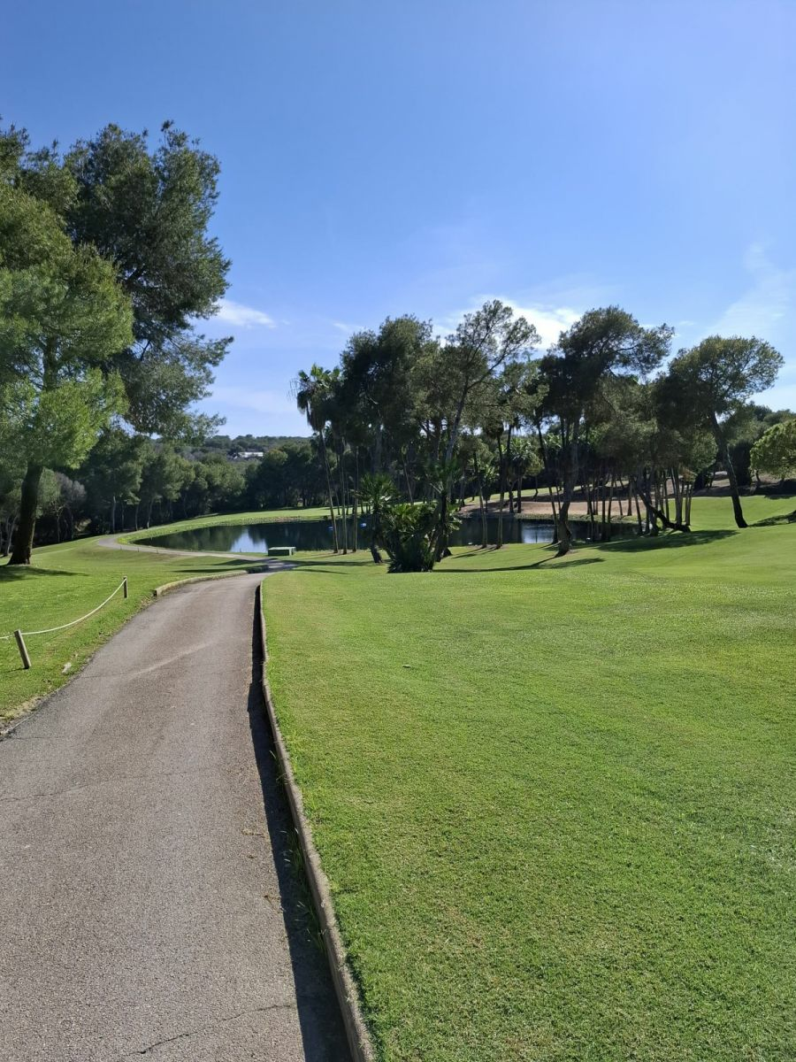3-bedroom Apartment In Torrevieja, Spain (137 M²)