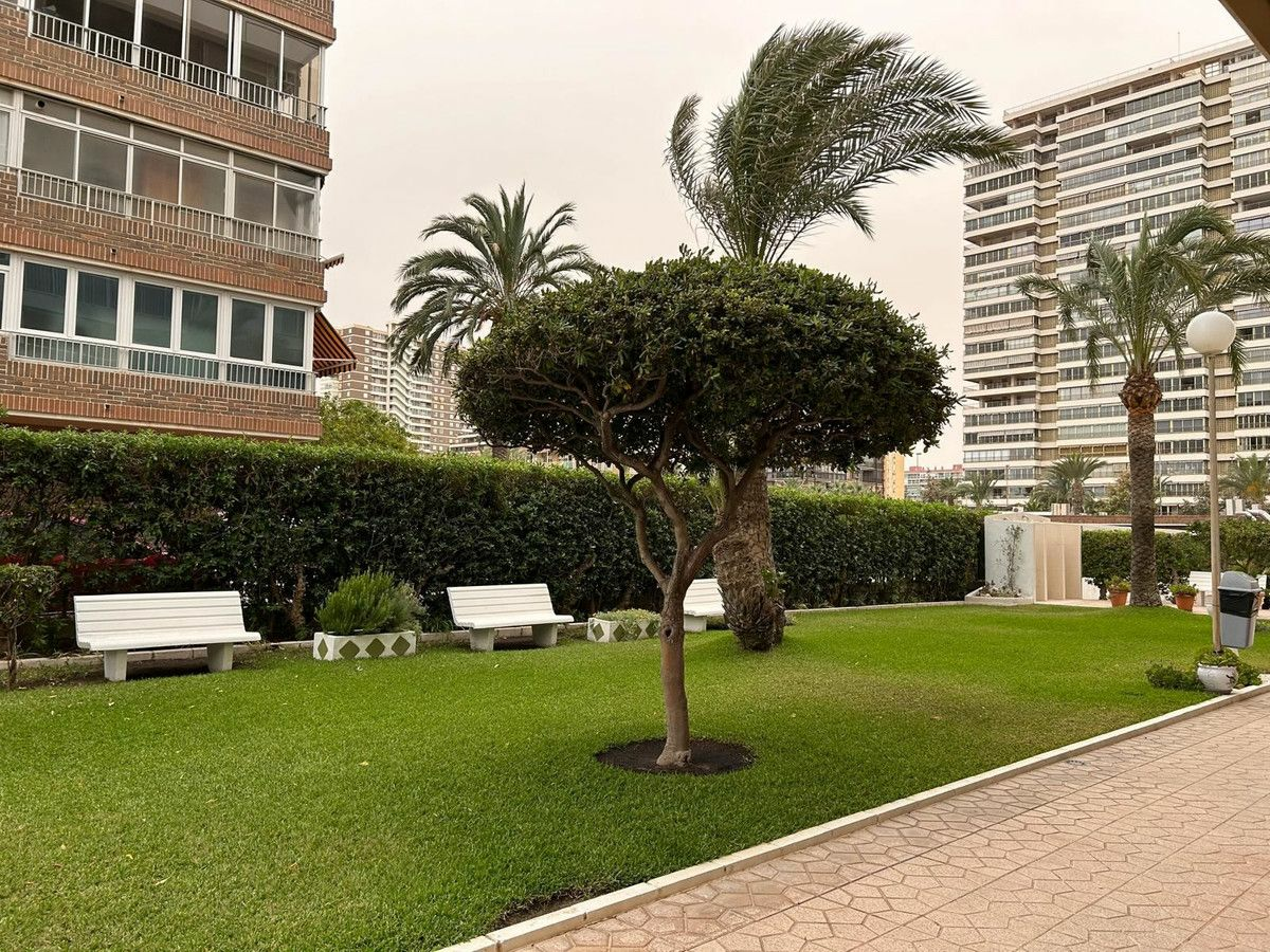 3-bedroom Apartment In Alicante, Spain (117 M²)