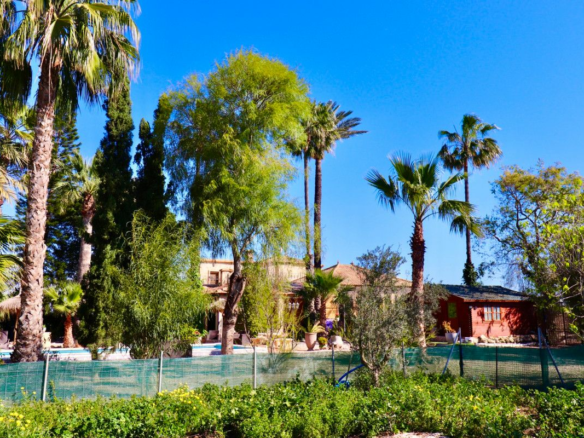 6-bedroom Villa In Almoradi, Spain (375 M²)