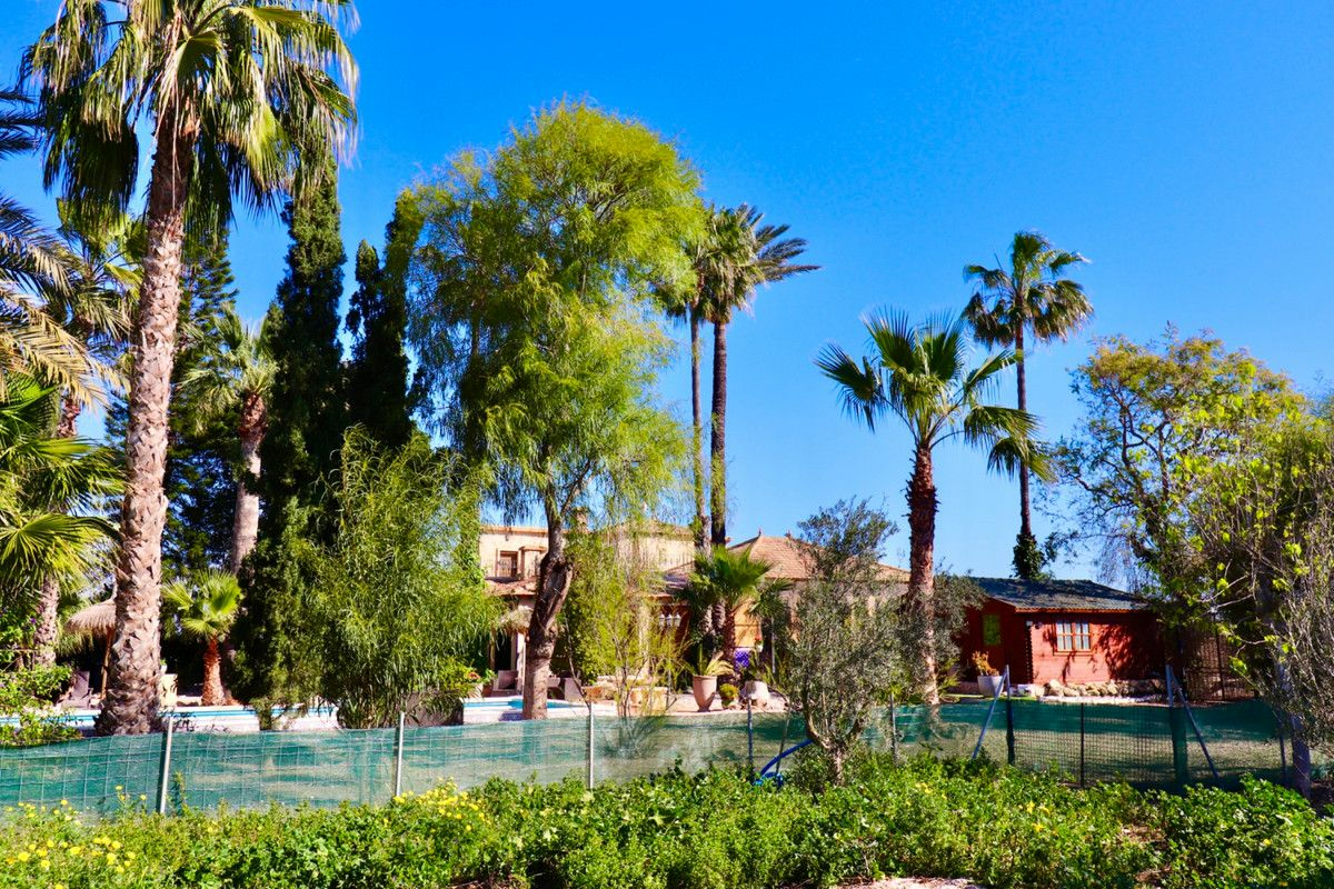 6-bedroom Villa In Almoradi, Spain (375 M²)