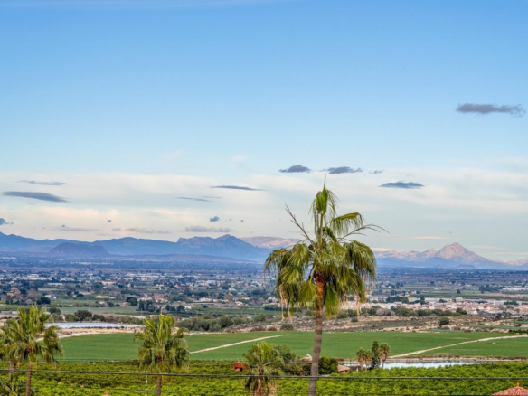 4-bedroom Villa In Algorfa, Spain (216 M²)