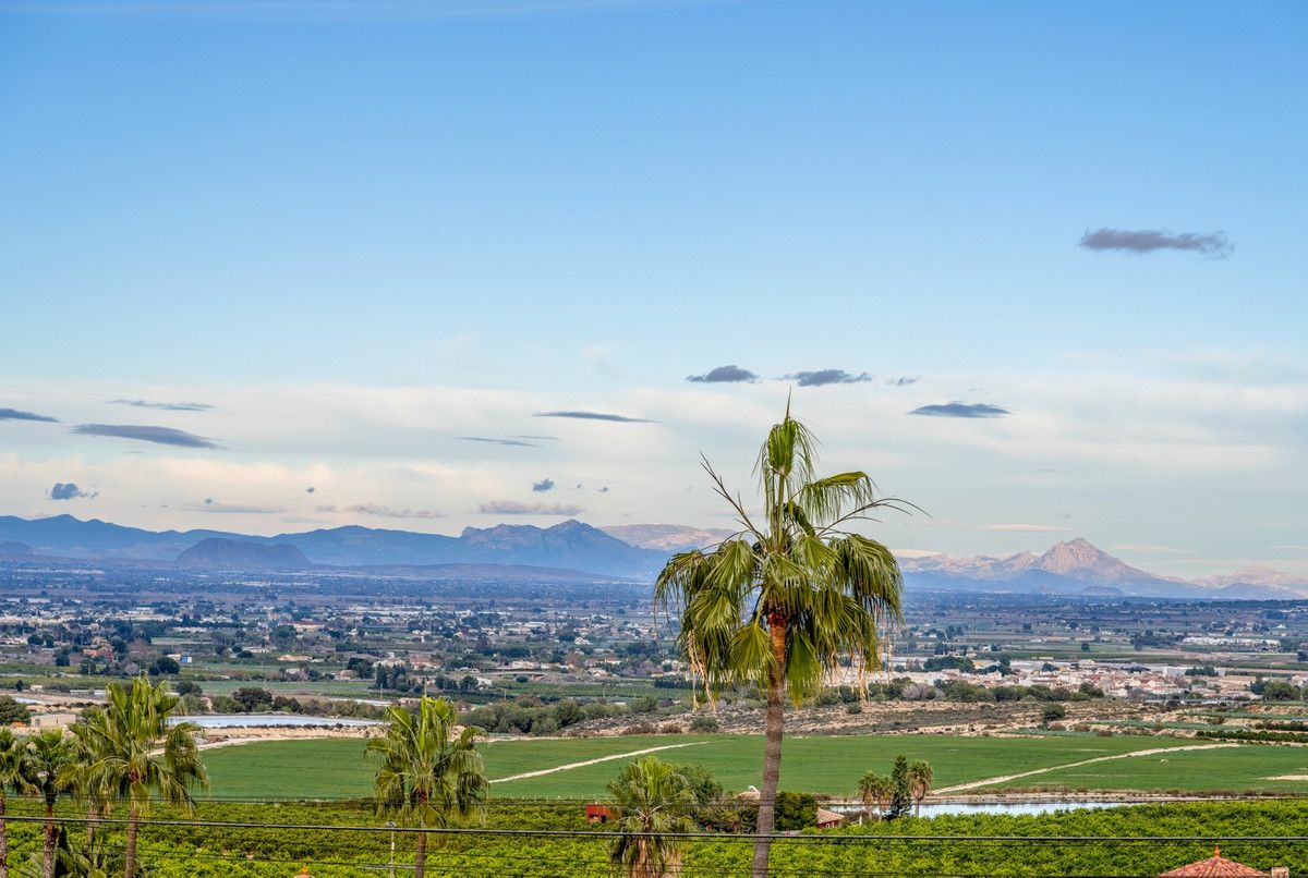 4-bedroom Villa In Algorfa, Spain (216 M²)