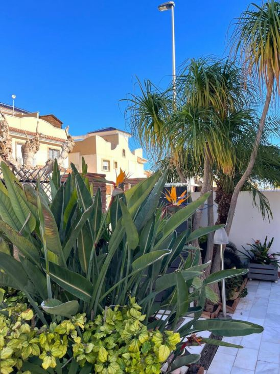 4-bedroom Villa In Pilar De La Horadada, Spain (155 M²)
