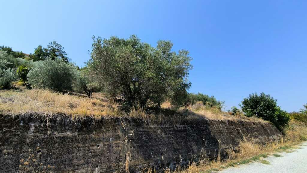 Land In Katerini, Greece