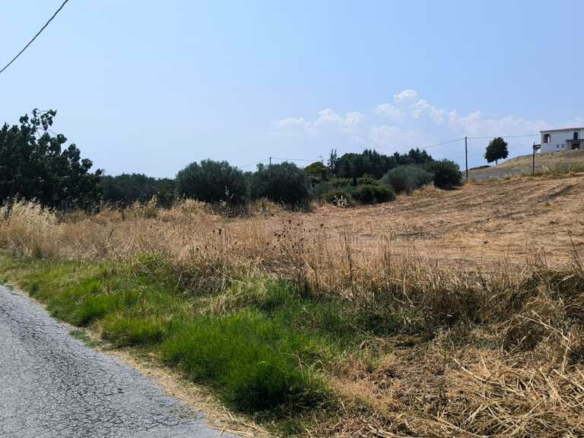 Land In Katerini, Greece