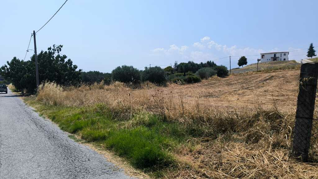 Land In Katerini, Greece