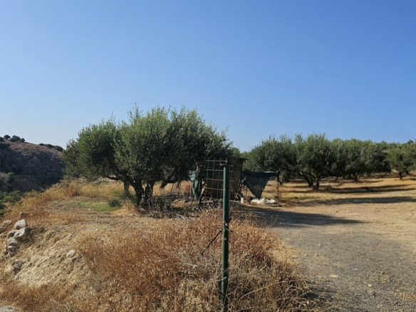 Land In Gouves, Greece