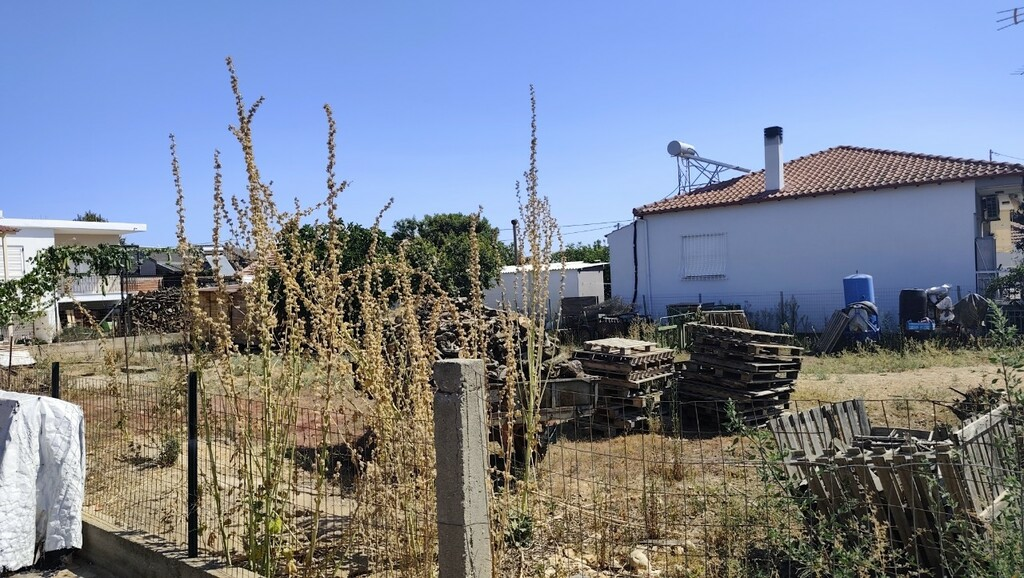 Land In Nea Propontida, Greece