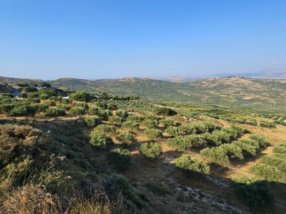 Land In Arkalochori, Greece