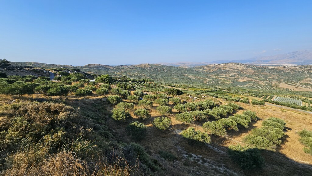 Land In Arkalochori, Greece