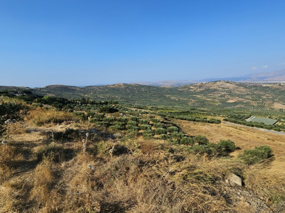 Land In Arkalochori, Greece