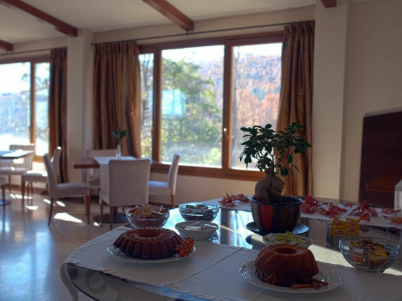 Hotel In Florina, Greece (4.500 M²)