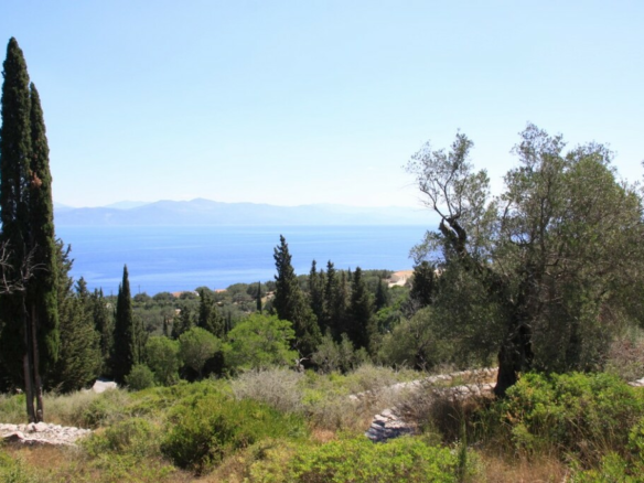 Land In Paxoi, Greece (6.410 M²)
