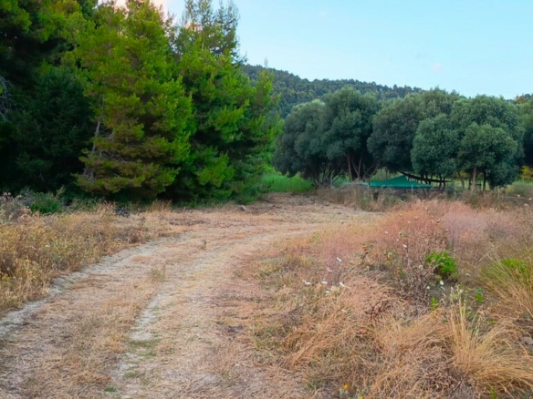 Land In Zaloggo, Greece