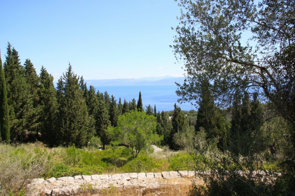 Land In Paxoi, Greece (6.410 M²)