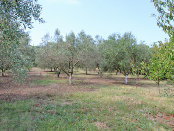 Land In Methoni, Greece