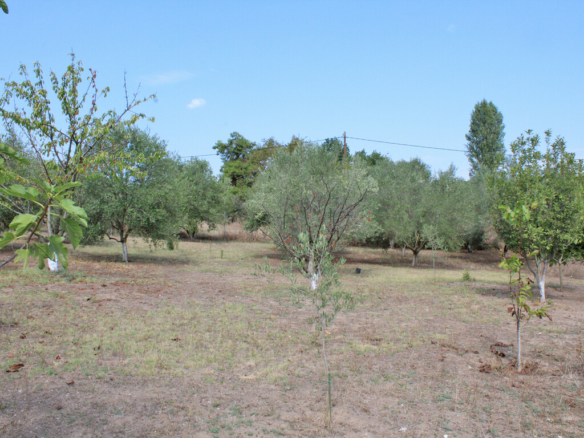 Land In Methoni, Greece