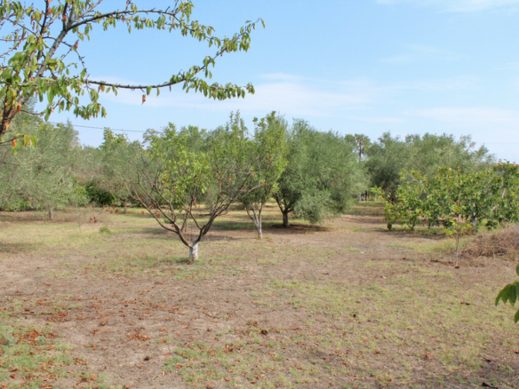 Land In Methoni, Greece