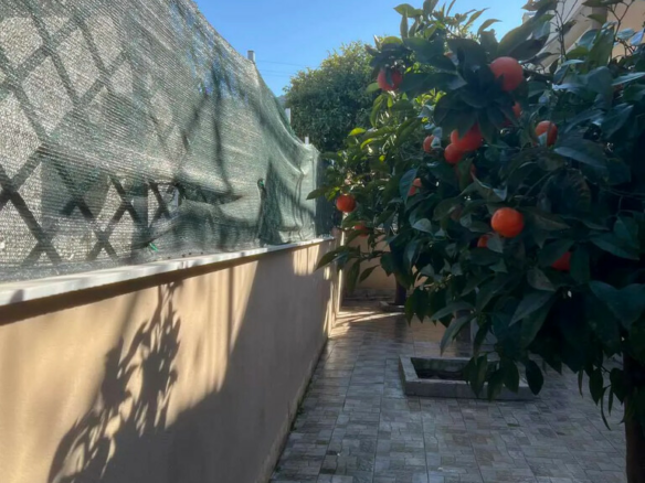 3-bedroom Detached House In Markopoulo, Greece (75 M²)