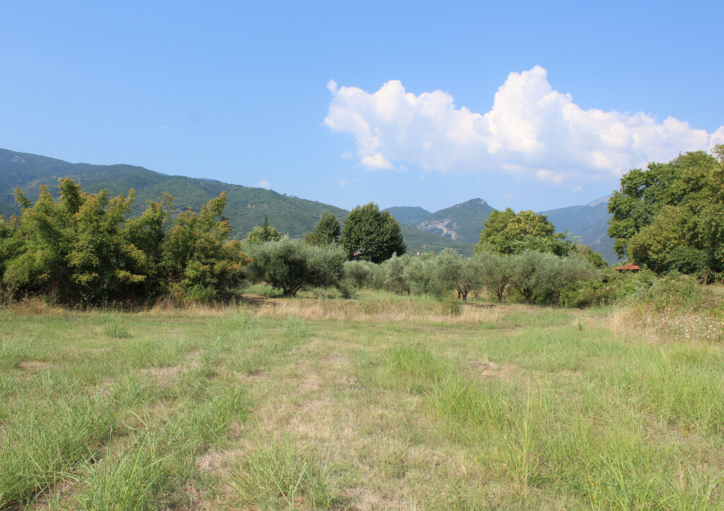Land In Easts Olimpos, Greece