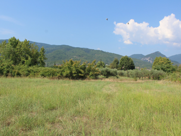 Land In Easts Olimpos, Greece
