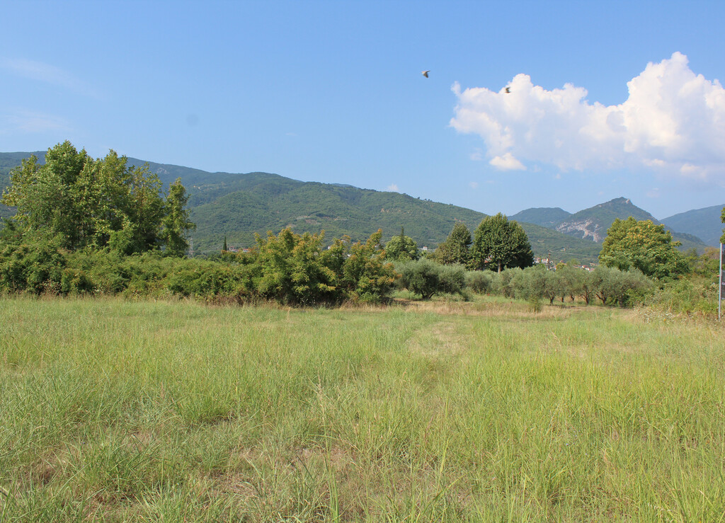 Land In Easts Olimpos, Greece