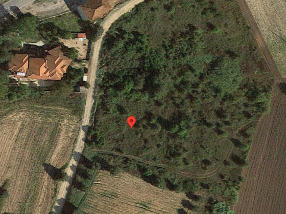 Land In Kassandra, Greece