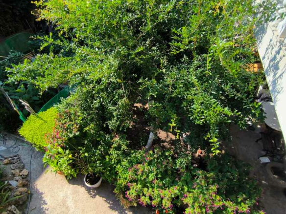 2-bedroom Flat In Katerini, Greece (115 M²)